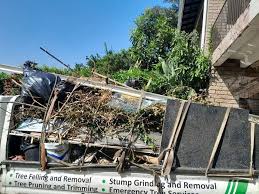 Best Hoarding Cleanup  in Orwell, OH